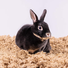 Americas Choice PETSPICK Uber Soft Paper Pet Bedding for Small Animals, Natural, 56L