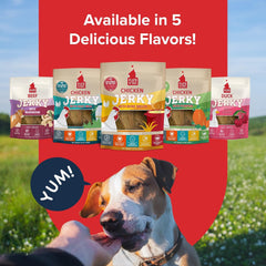 PLATO Pet Treats Jerky Dog Treats - Air-Dried Jerky for Dogs - Delicious, Real Meat Dog Treats - Grain Free - Supports Healthy Digestion - Chicken Jerky with Bone Broth
