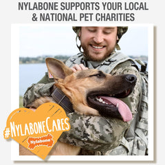 Nylabone Gator Tail Alternative Power Chew Toy for Dogs, Dog Toys for Aggressive Chewers, Chicken Flavor, Large - Up to 50 lbs, 1 Count
