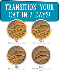 Weruva Cats in The Kitchen Paté, The Karate Kitty with Beef & Salmon