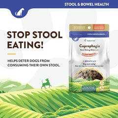 NaturVet Scoopables Coprophagia for Dogs - No Poop Eating for Dogs - Stool Eating Deterrent Supplement with Probiotic & Digestive Enzymes - Hickory Smoked Bacon Flavored