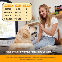 Pet Honesty Allergy Skin Health - Allergy Itch Relief, Fish Oil for Dogs, Probiotics for Healthy Skin, Shiny Coats, Helps Reduce Normal Shedding, Soft Chews for Healthy Skin & Coat - 90 Ct (Salmon)