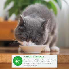 INABA Dashi Delights for Cats, Shredded Chicken with Bonito Flake Broth, 2.5 Ounce Cup, 6 Cups Total, Chicken & Bonito Flakes Recipe