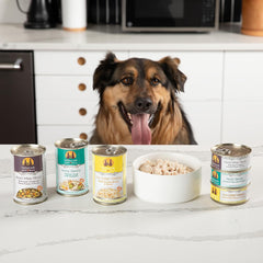 Weruva Classic Dog Food, Hot Dayam! with Lamb in Gelée