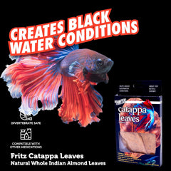 Fritz Catappa Leaves