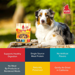 PLATO Original Real Strips Turkey & Pumpkin , Natural