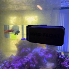 Small Black Stealth Glass Magnet Aquarium Scraper Cleaner with Blade - Floating Magfloat Magnetic Cleaning Tool