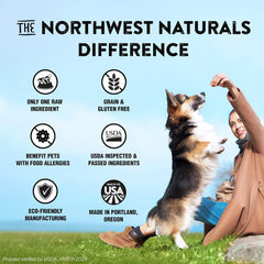 Northwest Naturals Raw Rewards Freeze-Dried Salmon Treats for Dogs and Cats - Bite-Sized Pieces - Healthy, 1 Ingredient, Human Grade Pet Food, All Natural, Proudly Made in USA, 2.5 Oz