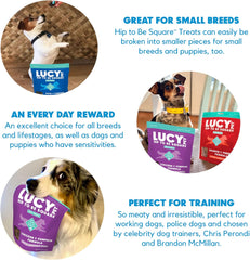 Lucy Pet Hip To Be Square Chicken And Pumpkin Dog Treats 6Oz