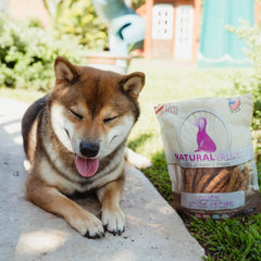 Loving Pets Natural Value All Natural Soft Chew Duck Sticks For Dogs