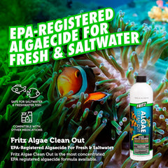 Fritz Aquatics Algae Clean Out - Algaecide for Fresh and Salt Water Aquariums