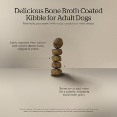 Now Fresh Good Gravy, Bone Broth Coated Kibble, Dry Dog Food, Salmon Adult Recipe with Grains, All Breed Size