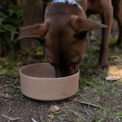 Loving Pets - Dolce Bamboo - Eco-Friendly Pet Bowls & Dishes for Dog, Cats, Puppy Food and Water Dish -Sustainable and Dishwasher Safe, Made with Real Bamboo