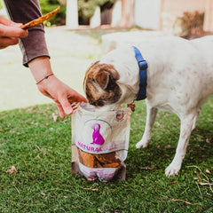Loving Pets Natural Value Duck Tenders Dog Treats