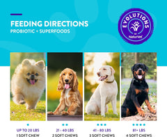 NaturVet Evolutions Probiotic & Superfoods 90ct Soft Chews for Dogs - Prebiotic & Probiotic Blend, Digestive Enzymes, Bone Broth, Omega's - Nourishes Natural Gut Bacteria and Intestinal Microflora
