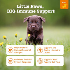 Zesty Paws Dog Allergy Relief - Anti Itch Supplement - Omega 3 Probiotics for Dogs - Digestive Health - Soft Chews for Skin & Seasonal Allergies - with Epicor Pets - Puppy - Lamb - 90 Count