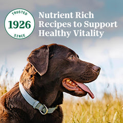 Nutro Natural Choice Adult Dry Dog Food, Beef and Brown Rice Recipe