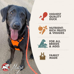 Fromm Four-Star Nutritionals Duck A La Veg Dog Food - Premium Dry Dog Food - Duck Recipe