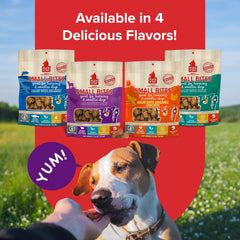 PLATO Pet Treats Small Bites - Air-Dried Training Treats for Dogs - Supports Healthy Digestion - Limited Ingredients - Lamb