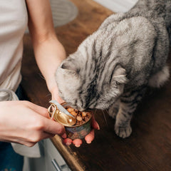 Evanger's Heritage Classic Beef It Up Dinner for Cats - 24, 5.5 oz cans