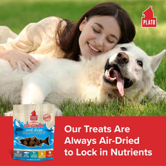 PLATO Original Real Strips Salmon 6oz