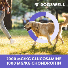 DOGSWELL 842190 Hip & Joint Beef Jerky Pet Food