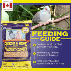 Hagen Pigeon & Dove Seed, Original Formula Bird Food, 6 lb Bag – Nutritionally Complete Seed Mix with Vitamins & Minerals – Wild & Captive Bird Diet – Insect-Resistant Air-Tight Packaging