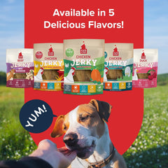 PLATO Pet Treats Dog Treats - Air-Dried Jerky for Dogs - Delicious, Real Meat Dog Treats - Grain Free - Supports Healthy Digestion - Chicken Jerky with Pumpkin