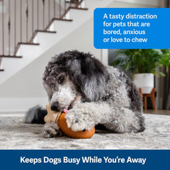 PetSafe Busy Buddy Chompin' Chicken Dog Toys – Treat Ring Holding Chew Toy – BPA Free Rubber – Chicken Scented – Interactive Pet Puzzle for Boredom or Separation Anxiety – Medium to Large Dogs