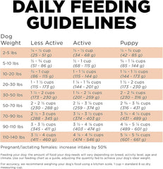 Go! Solutions Skin + Coat Care, Dry Dog Food, Salmon Recipe with Grains