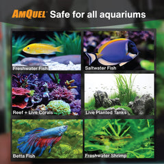 KORDON #31275 AmQuel Ammonia Control & Detoxifies Chloramine for Aquarium, 5-Gallon