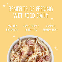 Weruva Puppy, Chicken Formula in Gravy (Pack of 10)