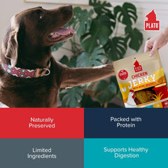 PLATO Pet Treats Jerky Dog Treats - Air-Dried Jerky for Dogs - Delicious, Real Meat Dog Treats - Grain Free - Supports Healthy Digestion - Chicken Jerky with Bone Broth