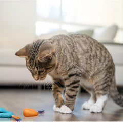 Petstages Dental Health Chews Pair