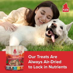 PLATO Turkey Real Strips Natural Dog Treats - Real Meat - Air Dried - Made in the USA - Turkey & Cranberry
