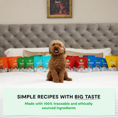 Open Farm, Dehydrated Dog Treats, High Protein & Low Carbohydrate Cod Skins, Crunchy Texture, Single Ingredient Wild-Caught Cod Skins Recipe, 7oz Bag Bulk-Size