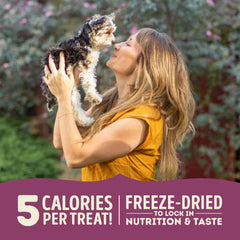 ACANA Singles Freeze Dried Dog Treats, Limited Ingredient Grain Free Lamb & Apple Recipe
