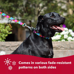 Coastal Pet - Styles - Adjustable Dog Collar, Resolve