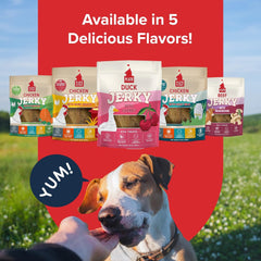 PLATO Pet Treats Jerky Dog Treats - Air-Dried Jerky for Dogs - Delicious, Real Meat Dog Treats - Grain Free - Supports Healthy Digestion - Duck Jerky with Cherry