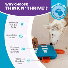 Nina Ottosson Dog Casino Treat Puzzle Enrichment Toy, Level 3 Advanced, Turquoise