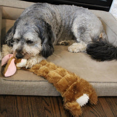 Skinneeez Tons-O-Squeakers Rabbit Dog Toy - with 19 Squeakers for Tons-O-Fun! Stuffing-Free Design is Great for Moderate Chewers, Tug Toy for Medium to Large Puppies & Dogs - 20in Color May Vary