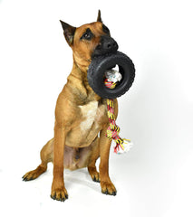 Mammoth Pet Products 43735018: Tirebiter II with Rope Dog Toy, XL Visit the Mammoth Pet