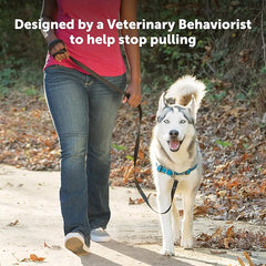 PetSafe Easy Walk Deluxe Dog Harness, No Pull Dog Harness – Perfect for Leash & Harness Training – Stops Pets from Pulling and Choking on Walks – Small