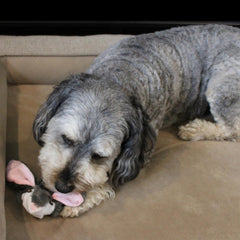 Skinneeez Tons-O-Squeakers Rabbit Dog Toy - with 19 Squeakers for Tons-O-Fun! Stuffing-Free Design is Great for Moderate Chewers, Tug Toy for Medium to Large Puppies & Dogs - 20in Color May Vary