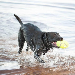 KONG Air Kong Squeaker Football