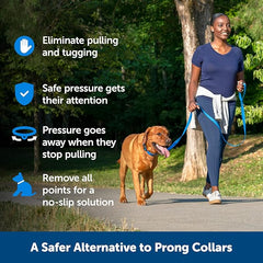 PetSafe Soft Point Training Collar - Helps Stop Pulling - Safer Than Prong or Choke Collars - Teaches Better Leash Manners - No Pull Training Collar with Rubber Points for Dogs - Medium