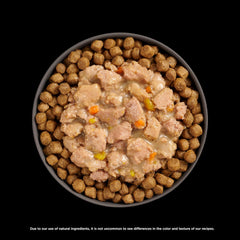 Go! Solutions Booster Brain Health, Grain-Free Wet Cat Food Topper 2.5 oz Pouch (Pack of 24)