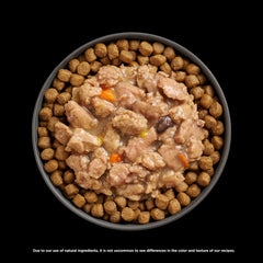 Go! Solutions Booster Immune Health, Grain-Free Wet Cat Food Topper , 2.5 oz Pouch