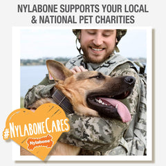 Nylabone Braided Bully Stick Alternative Power Chew Toy for Dogs, Dog Toys for Aggressive Chewers, Beef Flavor