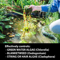 Fritz Aquatics Pond - Algae Clean Out Algaecide